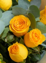 13-yellow-roses-bouquet-flowers-in-bogazkent-2.webp
